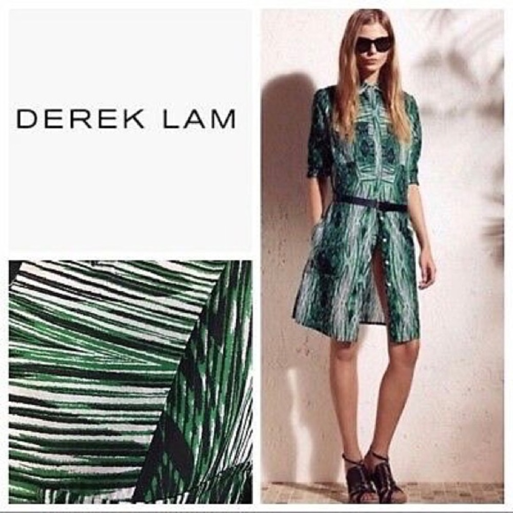 Derek Lam for Design Nation Green Shirt Dress